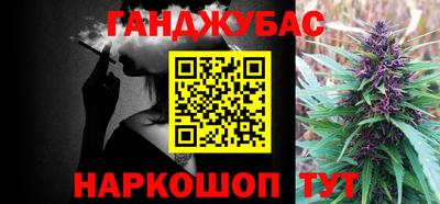 ECSTASY Новодвинск