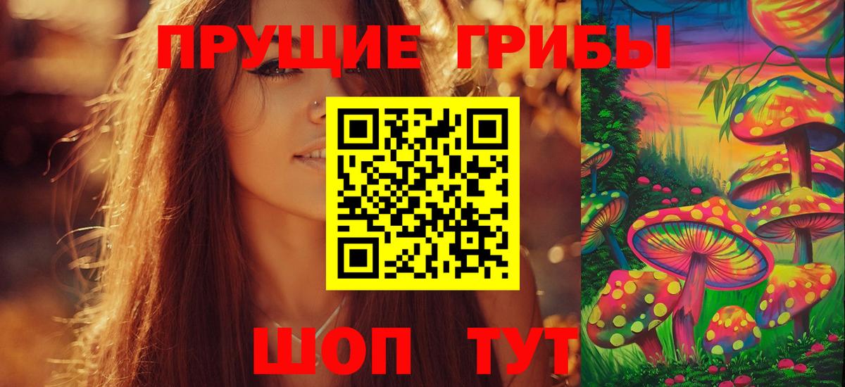 Строитель  Галлюциногенные грибы Cubensis  Вход с VPN 